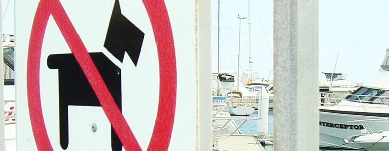 When should Users not give reviews to WordPress plugins?